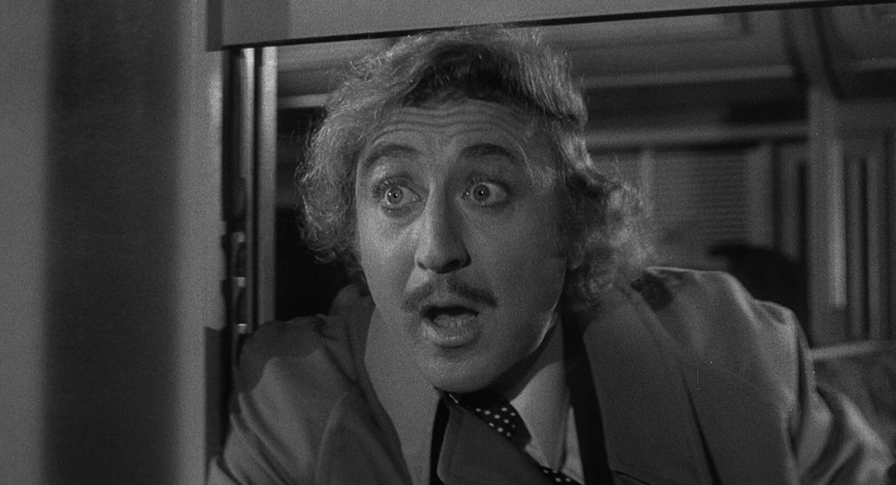 Young Frankenstein 1974 (1080p x265 10bit Tigole