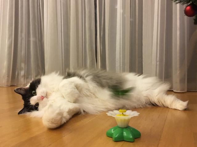 BF9379-F0-DBF9-4514-BA67-5-CB25029673-C.