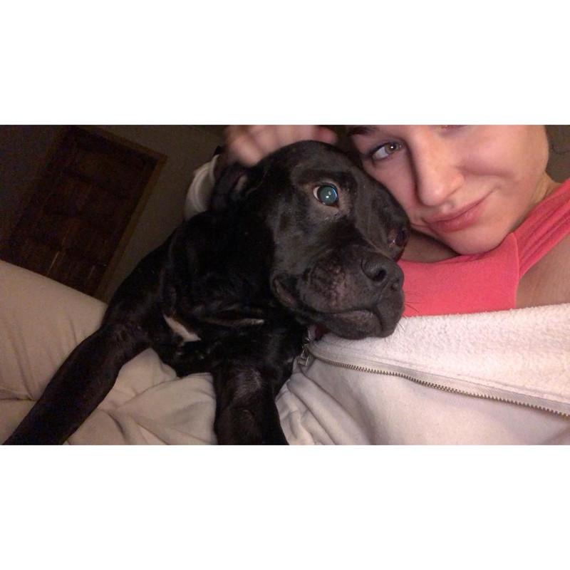 68B281C2-6CBD-45A2-B2E2-EB60A2B4318E