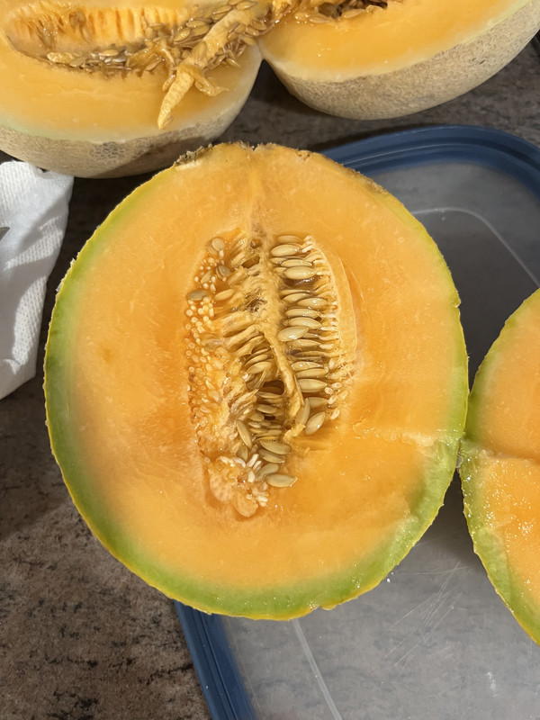 697B2E9D-F141-49AD-8ECE-C99CE67F6D3E