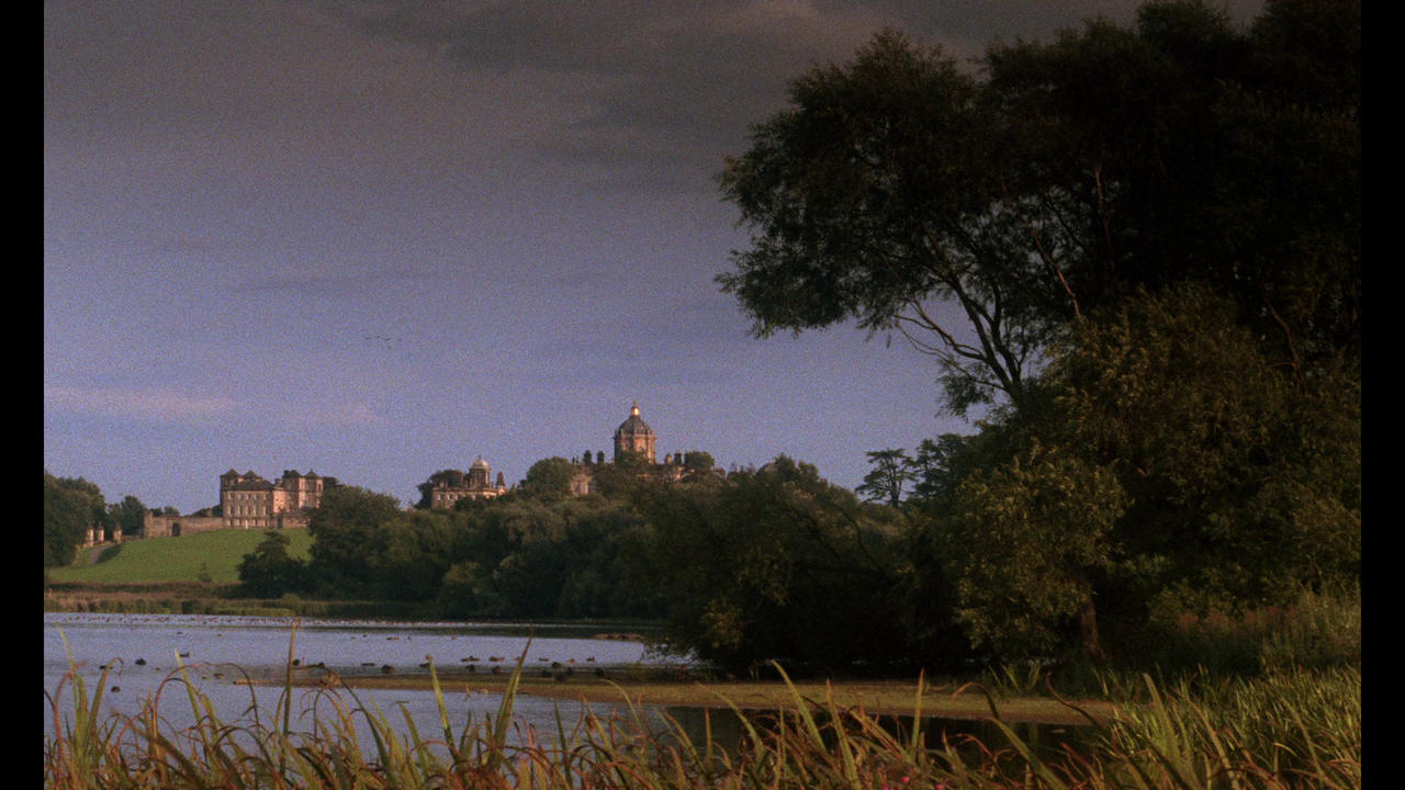 vlcsnap-2024-01-19-21h24m43s928