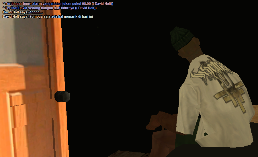 SS1.png