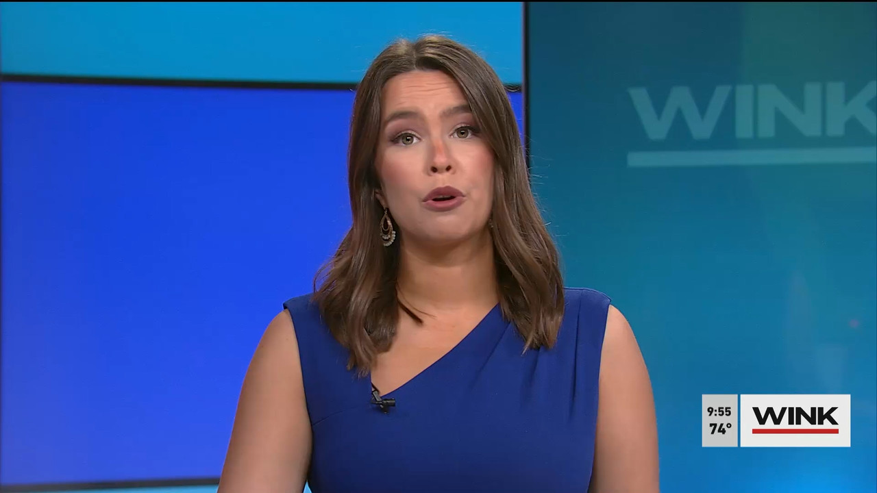 WINK News at 9 00 a.m. 2022_03_05_14_00_00.ts_snapshot_00.58.41.909