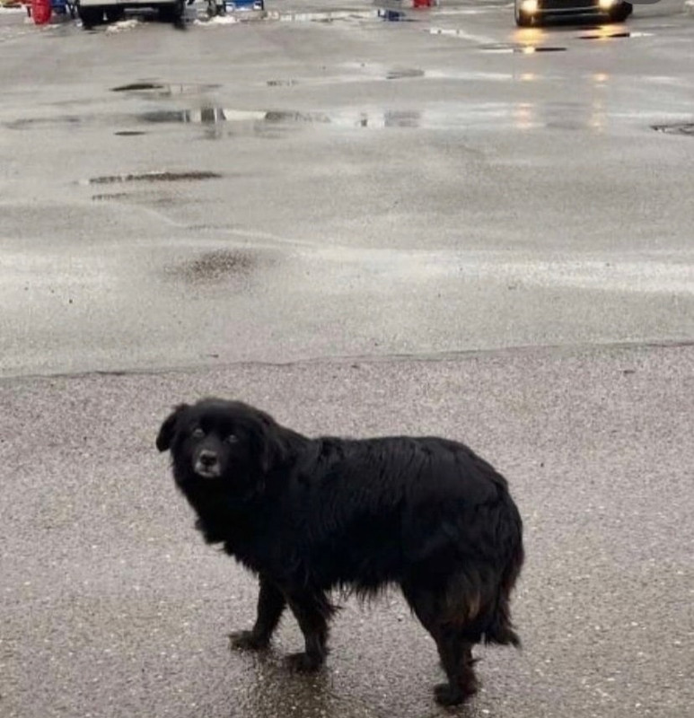 O8tc4jPj8dPbIRwqDlBdDRS2AqW4oqZrWRviCWtD6Qk2gsFICdfsa2NX1McnVs-XtI1S8bRVzyKCXkgx2-21sUPS