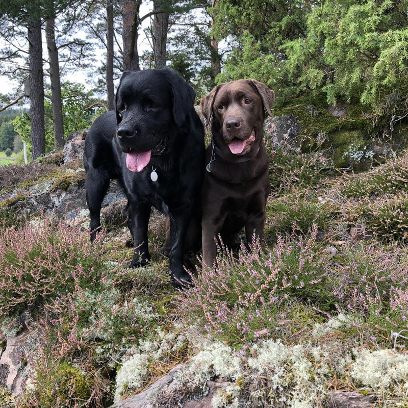 BDD9800A-08F4-4C77-A154-4823A2EC7B55