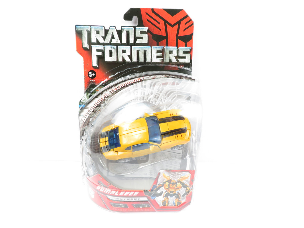 75521597_3072151809466024_4227078427284340736_o