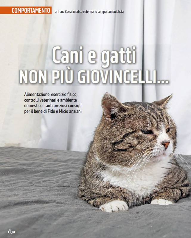 QuattroZampe Set 2024 (1)