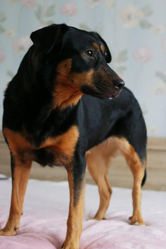 photo_2020-03-10_09-25-34