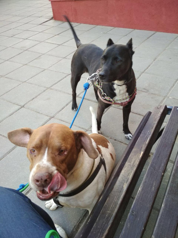 A8400D79-5070-4B32-BF77-08ED176CA7D8