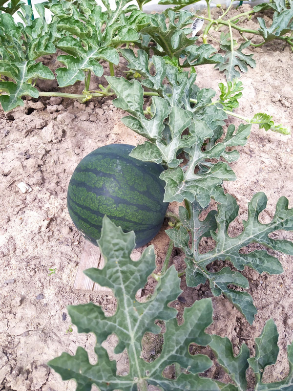 1C5248BB-0CC8-4EF3-96C3-E75468433EA7