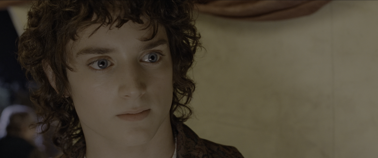 The.Lord.of.the.Rings.The.Fellowship.of.the.Ring.2001.EXTENDED.ITA.ENG.2160p.UHD.BluRay.x265-MeM.mkv