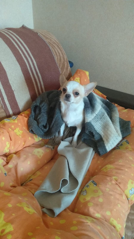 09F5D378-E8C7-4210-BAF2-41A616295939