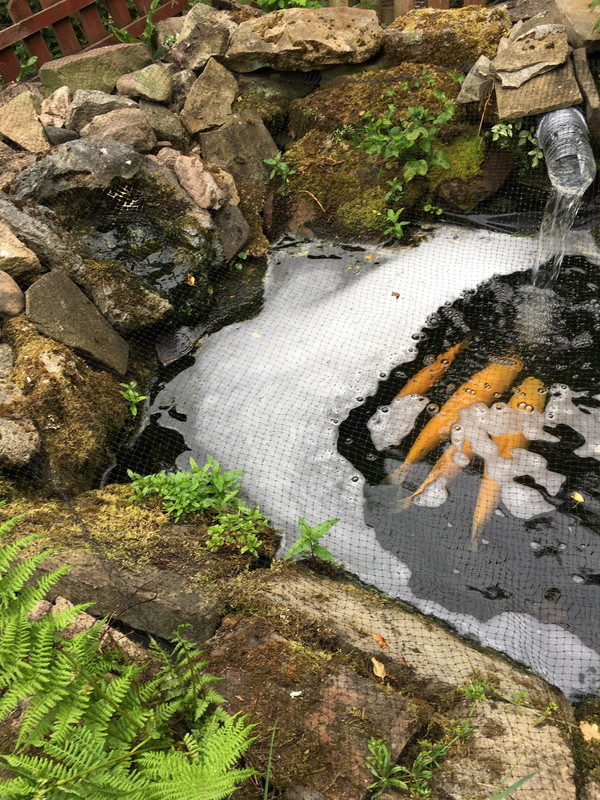 F0B1319C-4CE9-4E88-8496-E0DF025D9070