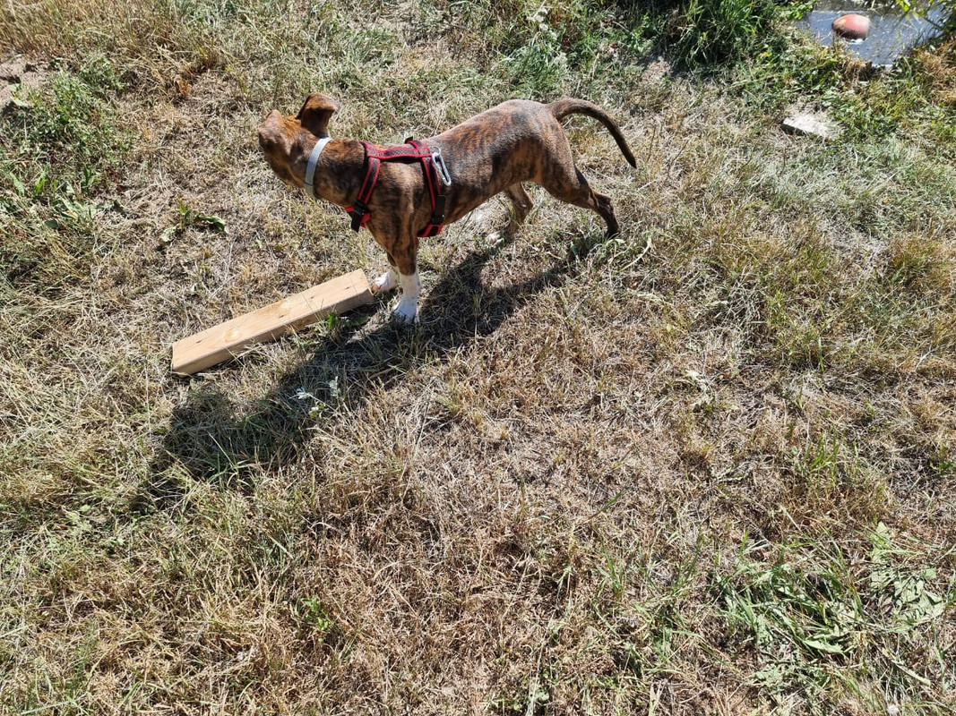 452D1398-9766-4236-9217-38C9B8B10021