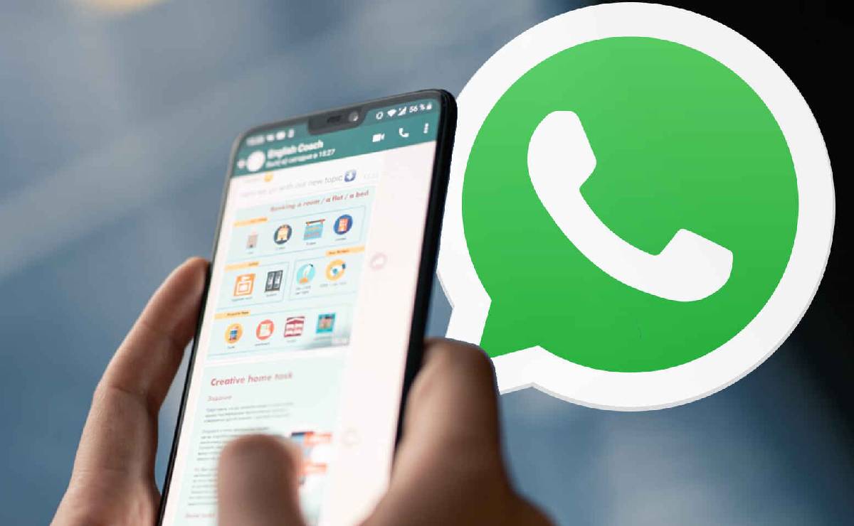 whatsapp domande risposte