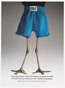 leg