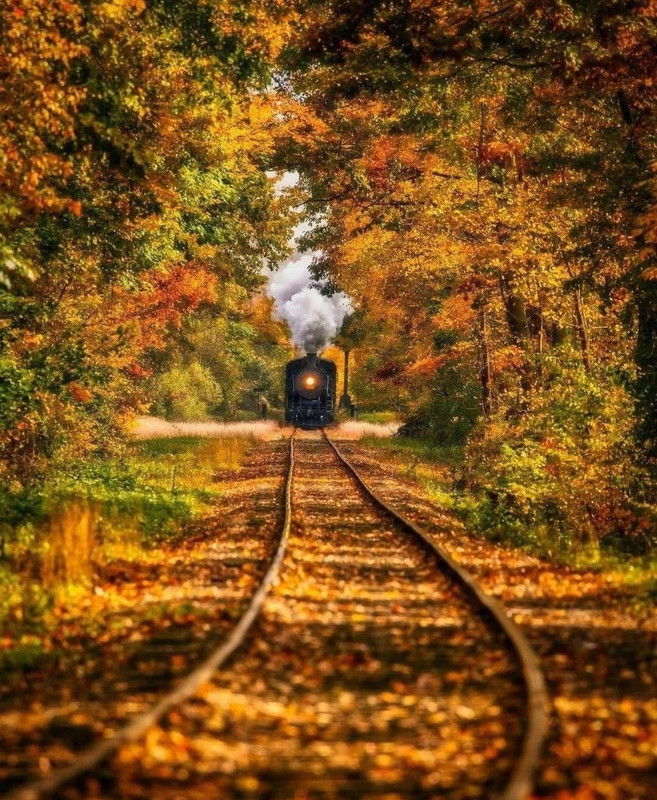 Screenshot_20231207_151510_Instagram