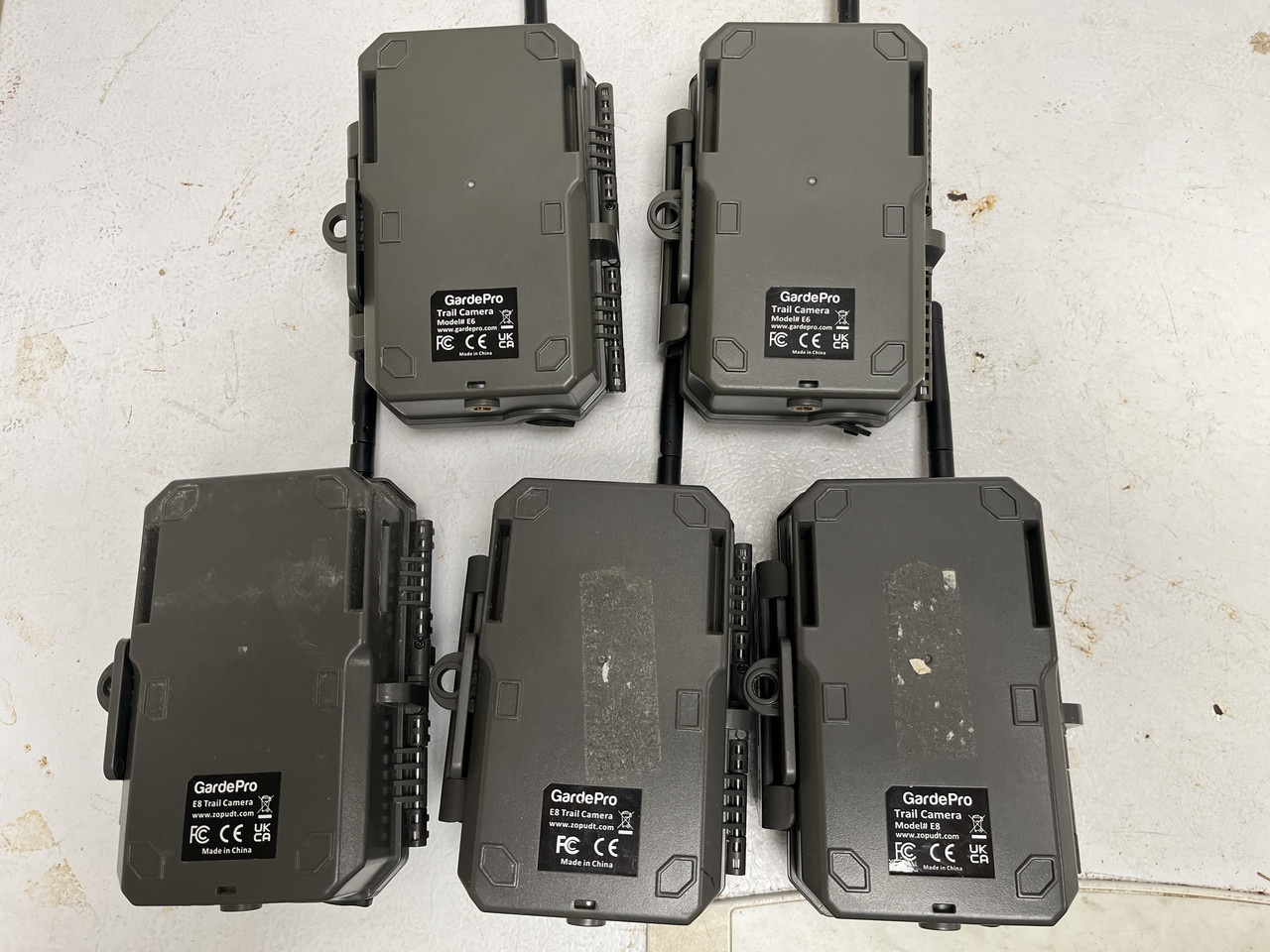 All 5 back