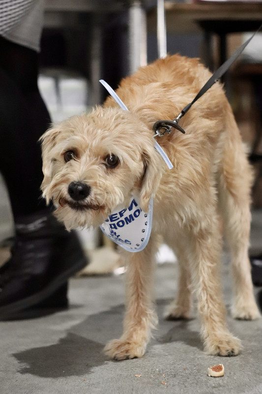 64E99A7D-7D1C-4A2F-8712-55152F4497A9