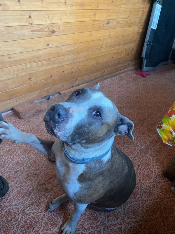 59F6ADC1-3247-4A90-AE9C-FF168DFDBC8C