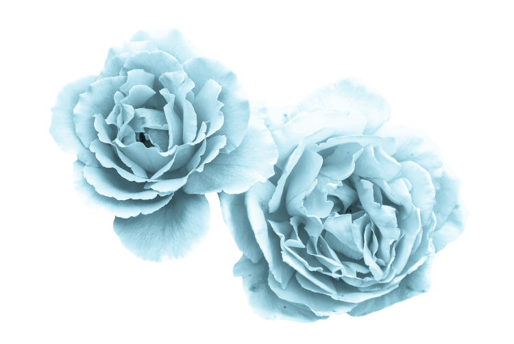 WINTER LOVE_DBJ-ELEM (72)