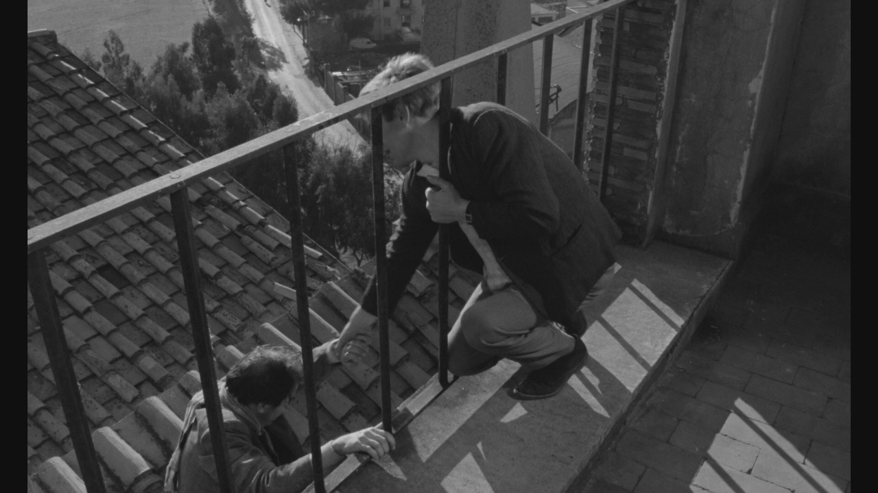 vlcsnap-2023-03-12-13h51m23s173