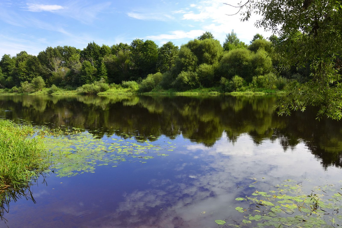 01_02 Березина_1_result