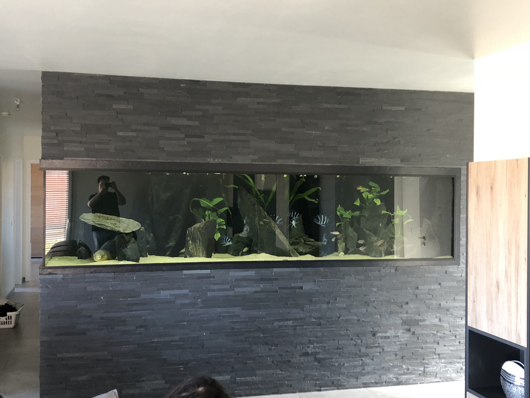 iLlEiabPTqqu3nzc35QYgA