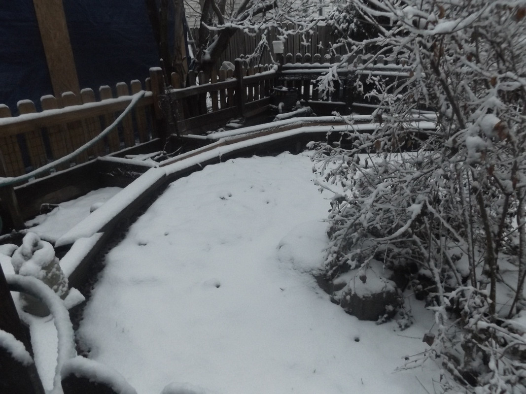 DSCF5257.jpg