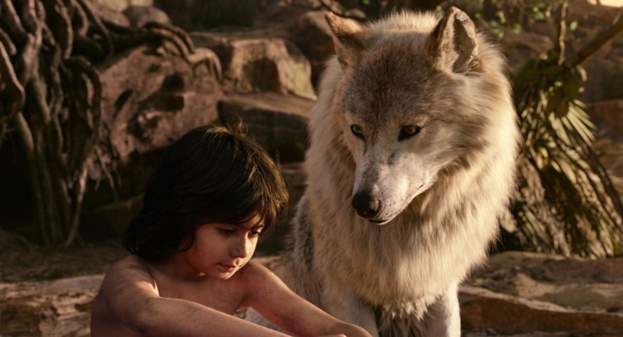 Fotos 05899 The.Jungle.Book.2016.1080p.BDRip