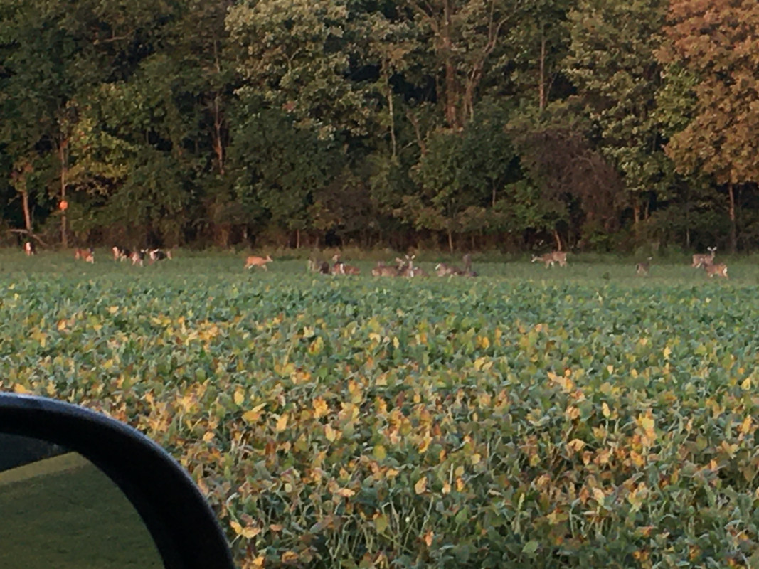 6CE2C09A-626D-48BA-9311-7BF3E9AF1DDC