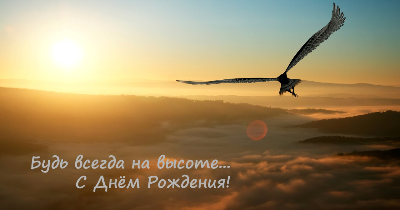 с денм рождения админ1