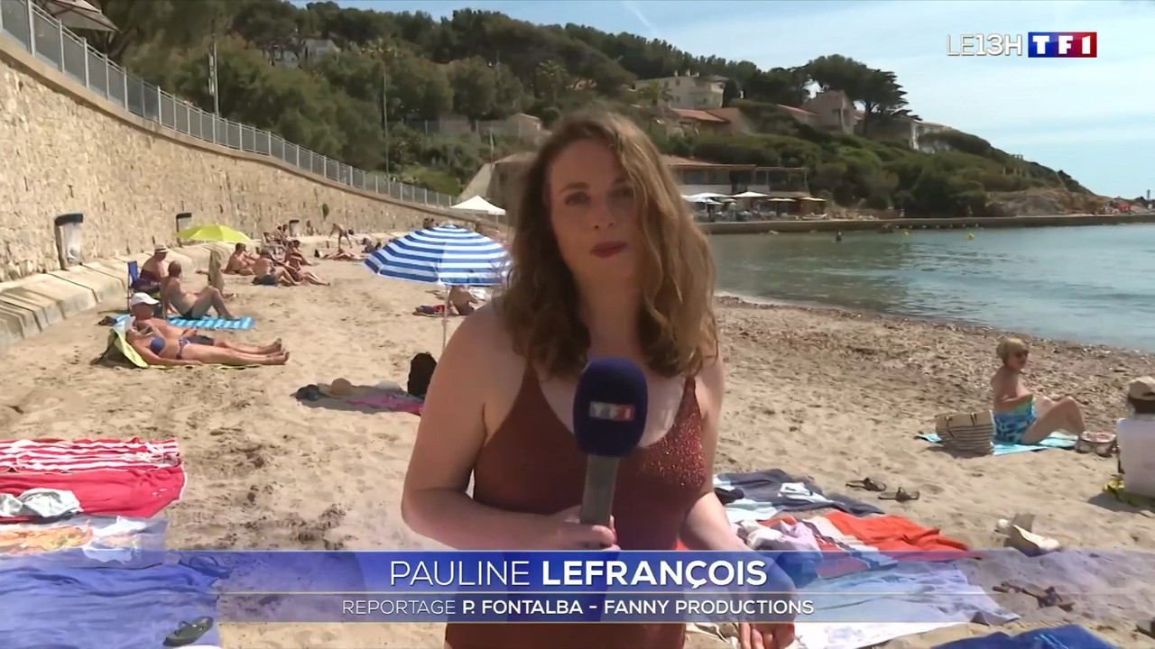 2021-06-11_13_00_TF1_Le-13h.mp4_snapshot_00.28.35.868