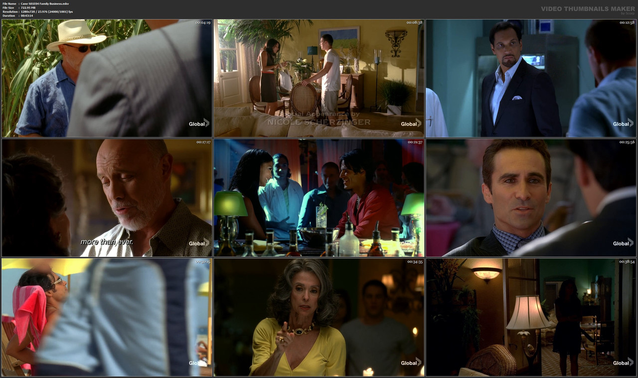 Cane S01E04 Family Business.mkv