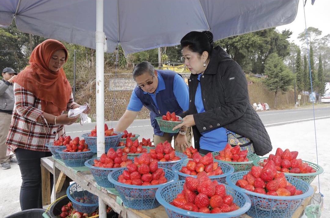 Beli strawberry