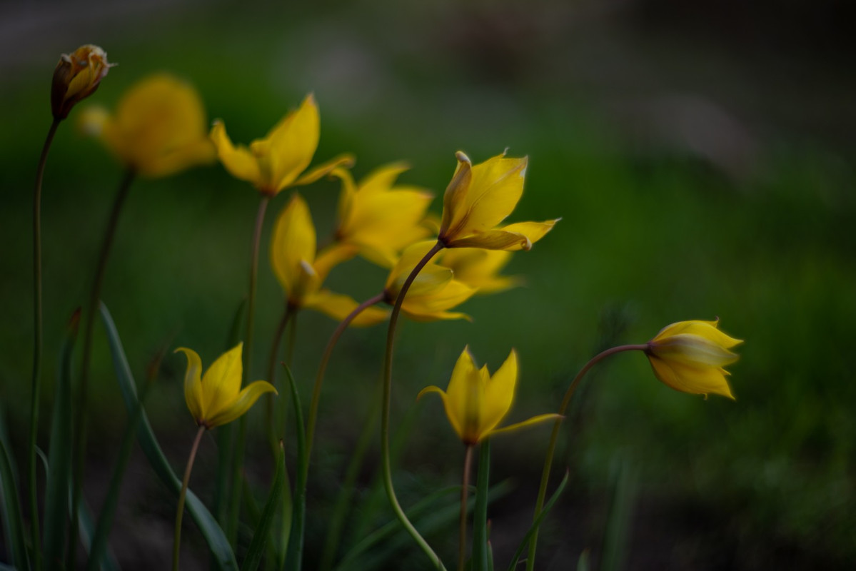 IMG-7fb2f15b0b0f6ec3b062ef2cab3aa9af-V