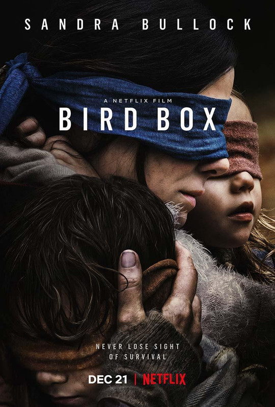 bird box 860040347 large - A Ciegas Dvdrip Dual (2018) Fantastico