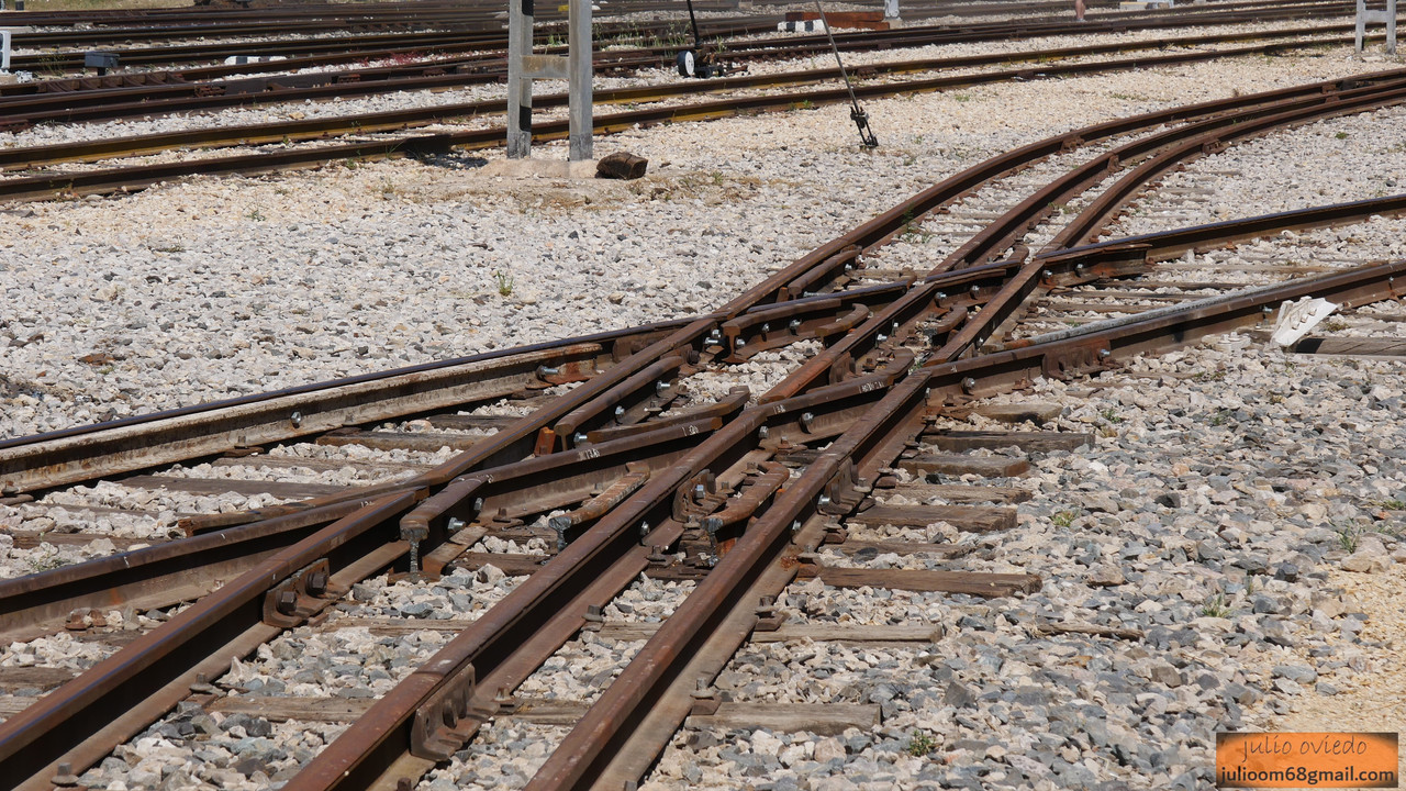 2025_Mayo (59) Móra la Nova