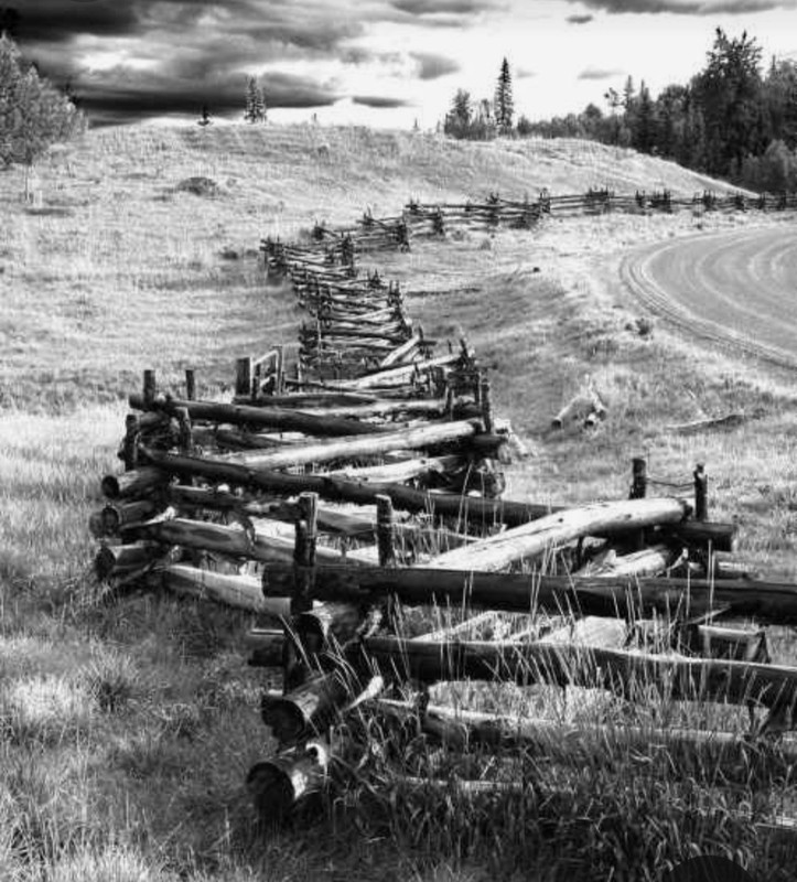 Screenshot_20230412_192315_Pinterest