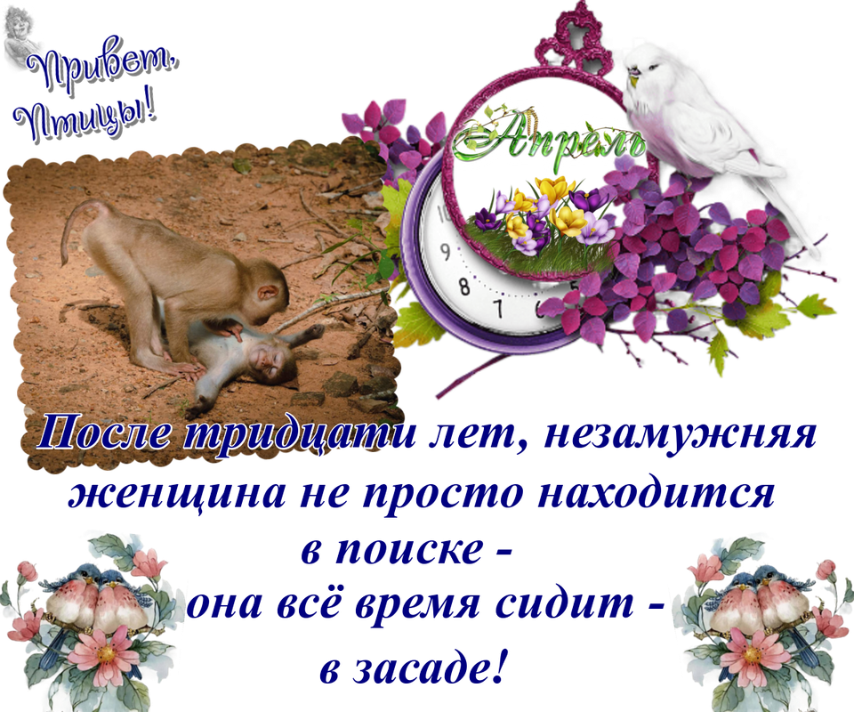 https://i.postimg.cc/VLwZ97xh/06-04.png