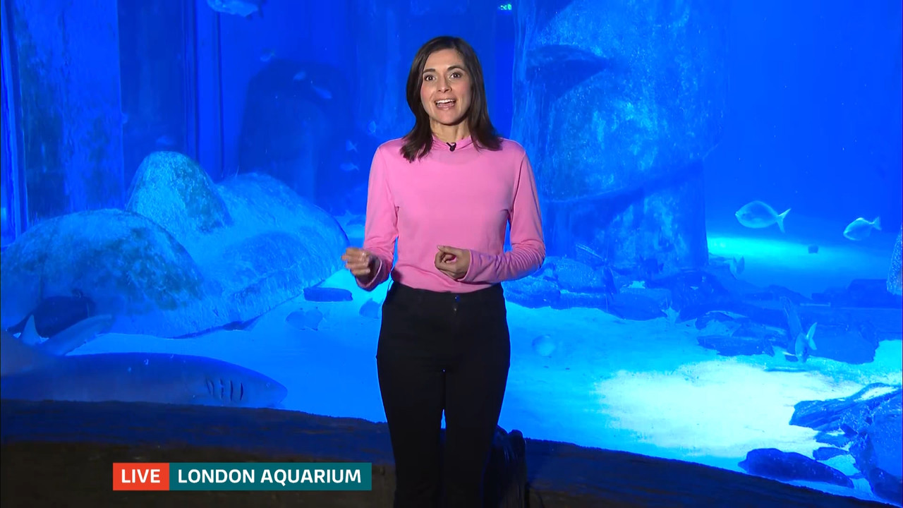 ITV Evening News_20230202_18301930.ts_snapshot_00.49.16.617