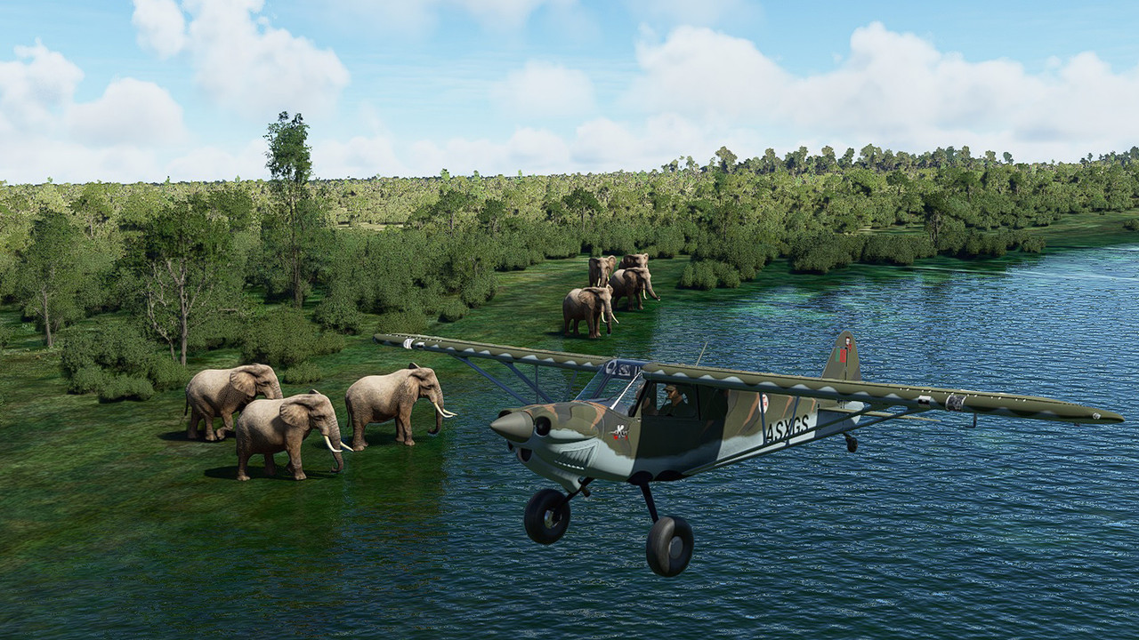 Okavango-Delta-Elephants-XCub.jpg