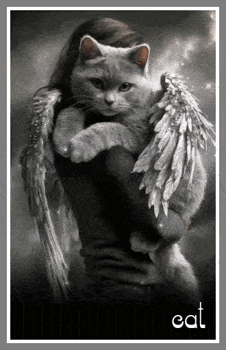 freecompress-70srm-RV48CIQ