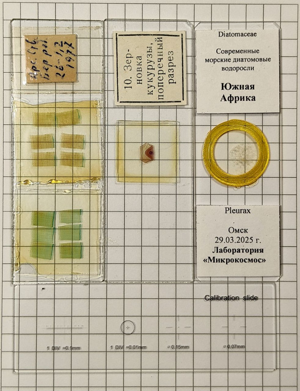 IMG 20260105 203005 471