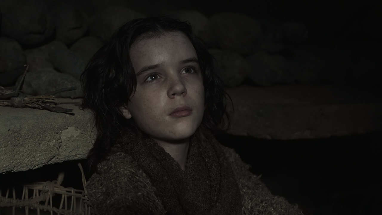 Raised.by.Wolves.(2020).S01E07.Faces.1080p.10bit.HMAX.WEB-DL.DD5.1.HEVC-Vyndros.mkv_snapshot_27.32_[