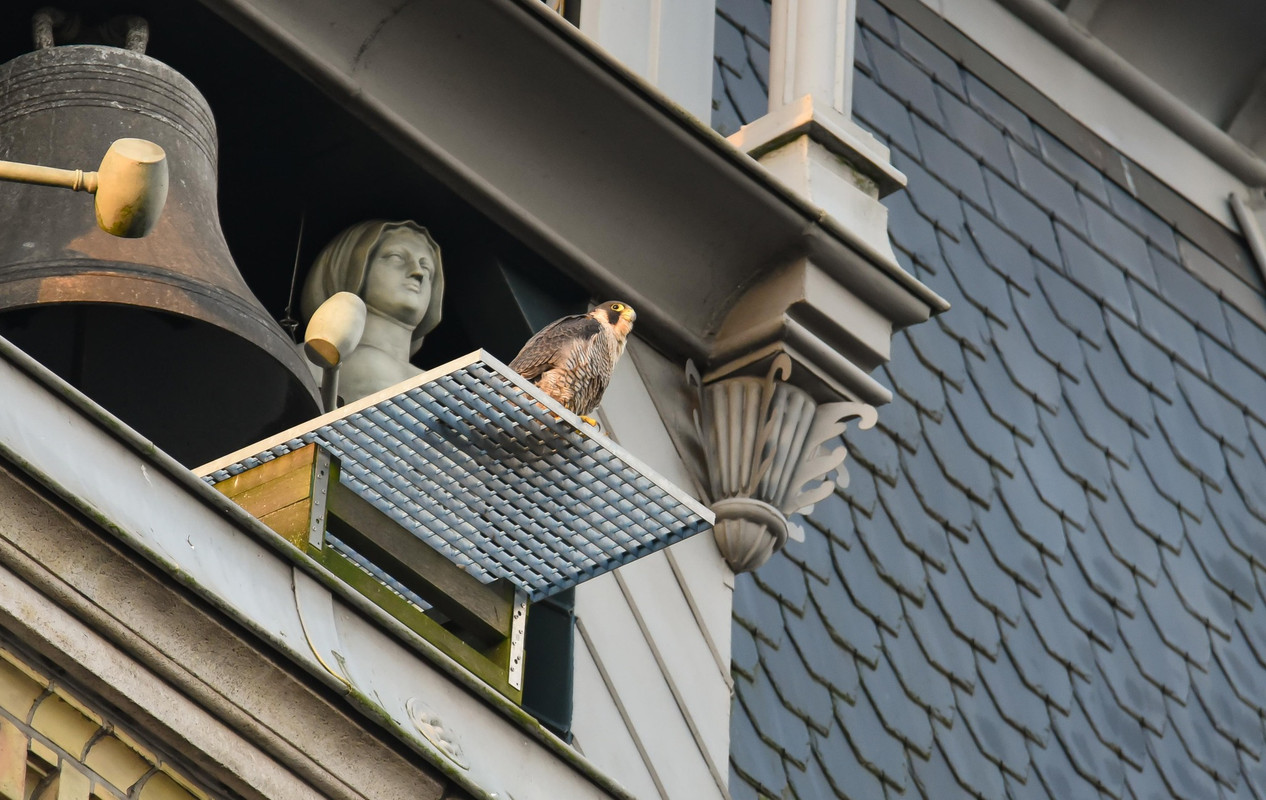 A'dam Rijksmuseum tot 26022023 1