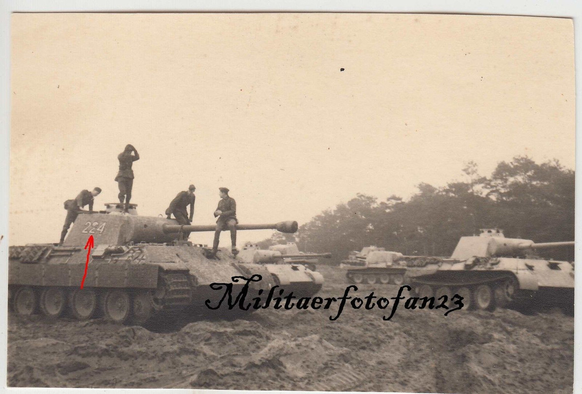 Panzer Panther auf Übungsplatz Heyrothsberge Bie