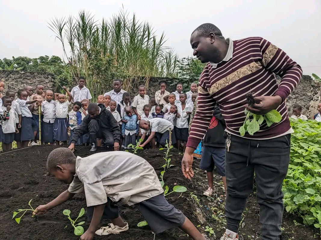 Jardin potager scolaire