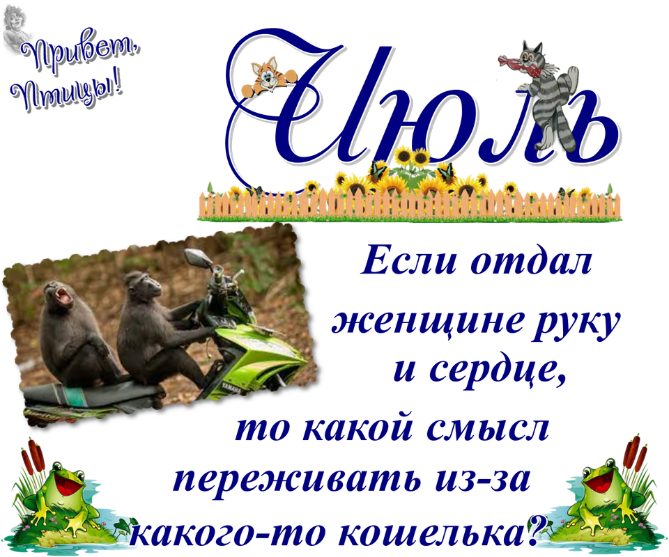 https://i.postimg.cc/VLxqWQWx/07-07.png