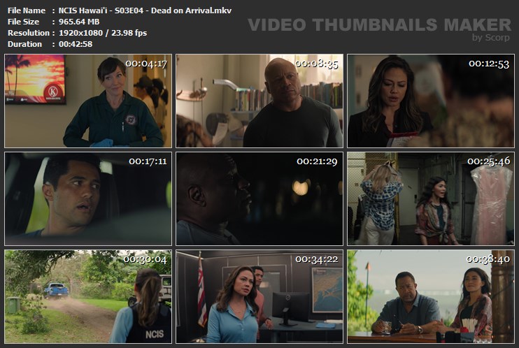 NCIS Hawai'i - S03E04 - Dead on Arrival.mkv
